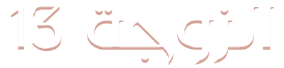شبكة راديو وتلفزيون العرب: ART TV , Arab Radio and Television Network- ART TV