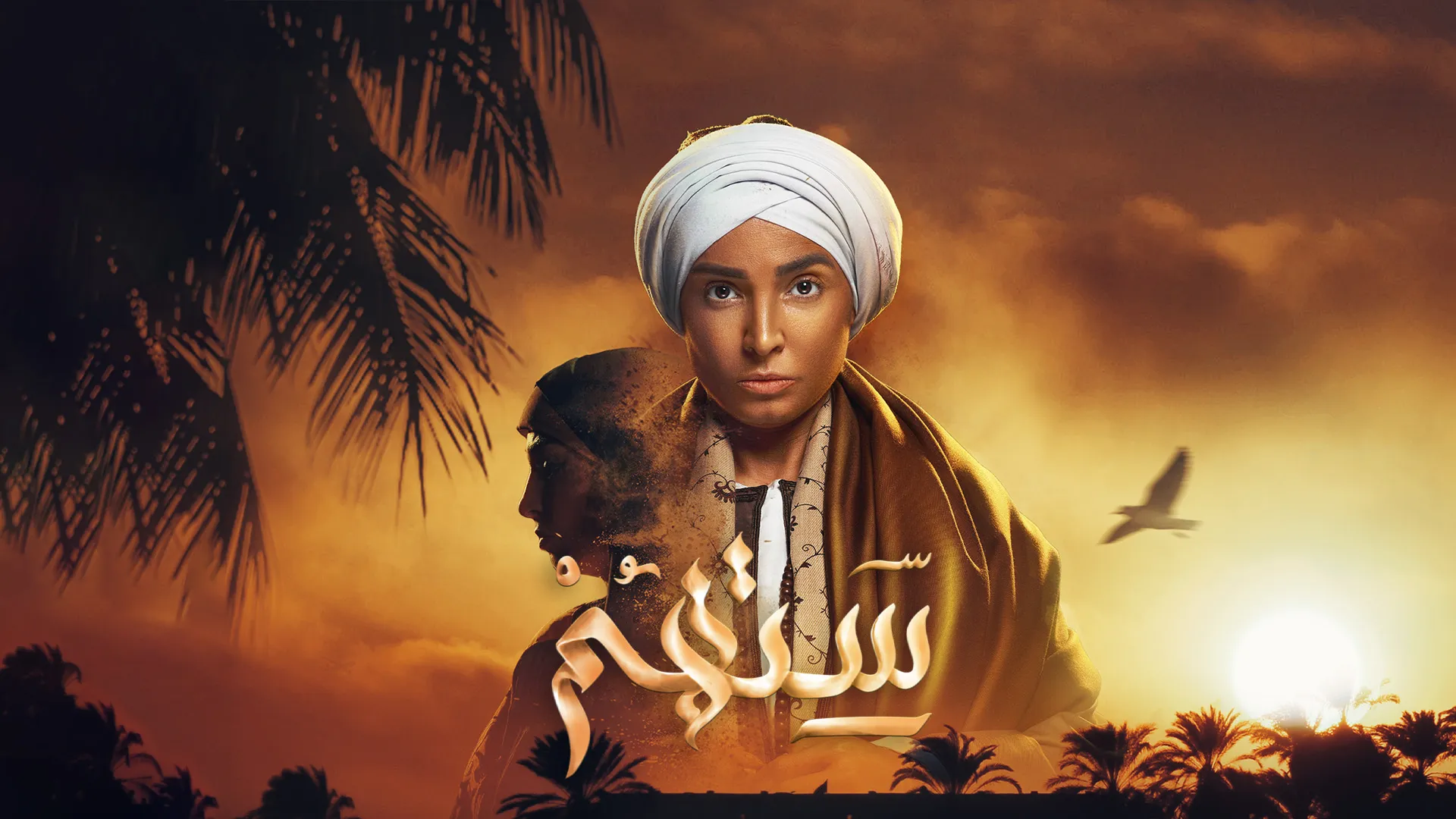 شبكة راديو وتلفزيون العرب: ART TV , Arab Radio and Television Network- ART TV